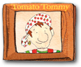 Tomato Tommy